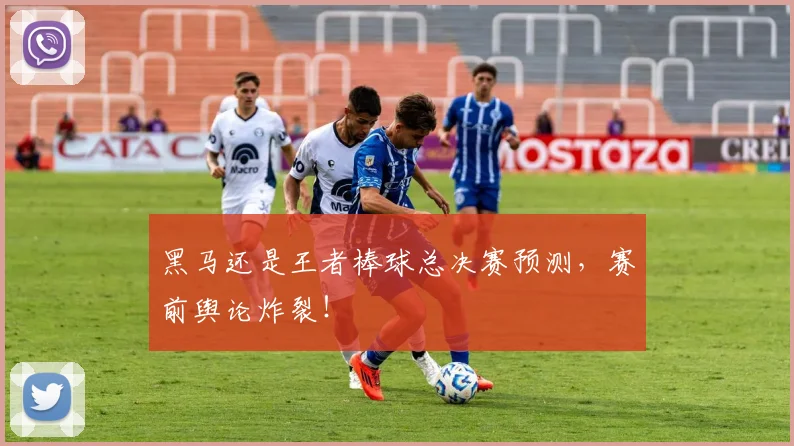 黑马还是王者棒球总决赛预测，赛前舆论炸裂！